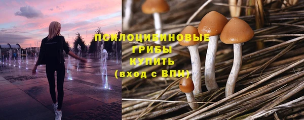 амф Остров