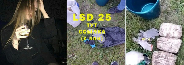 ПСИЛОЦИБИНОВЫЕ ГРИБЫ Аркадак